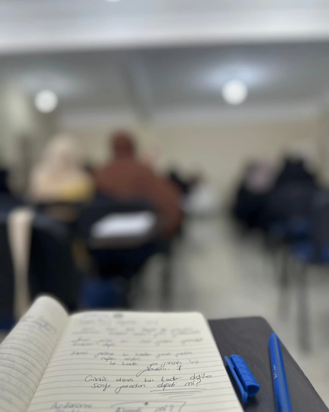 ''Değdi mi Değecek mi?''  (Seminer) görseli 1