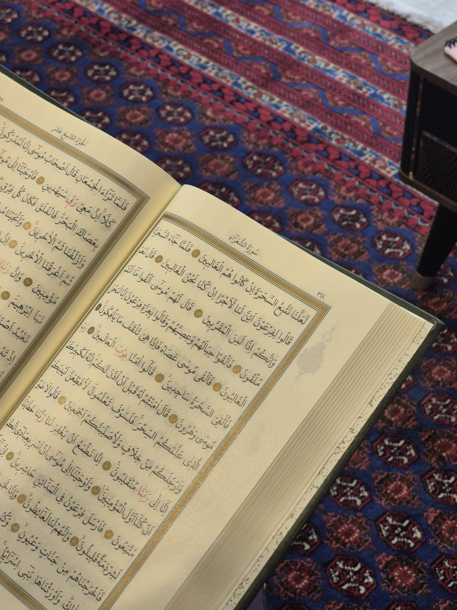 "Allah Bizi Zâyi Etmez" Kampı görseli 16